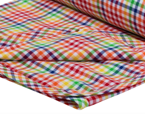 Toddler Blanket - Rainbow Gingham