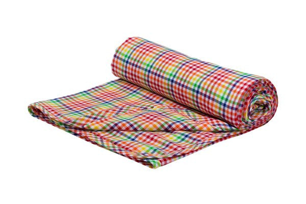 Toddler Blanket - Rainbow Gingham